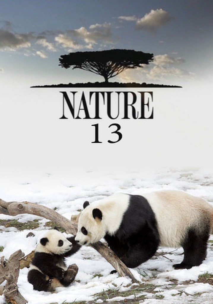 Natures series. Saison 13. Nature 1982 Mouses.